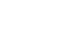 egyptair cargo